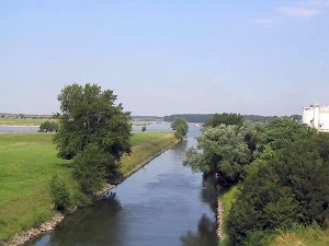 The confluence with the Rhine