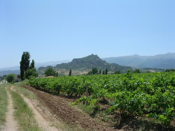 The citadel of Sardes, seen fronm the west