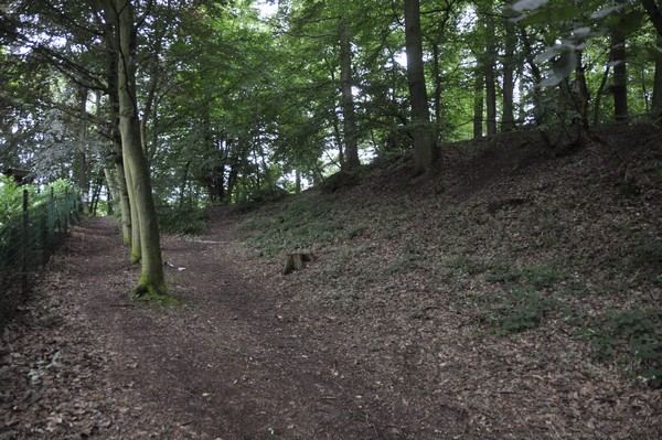 Thuin, Bois du Grand Bon Dieu, Northeastern slope of the oppidum (2)