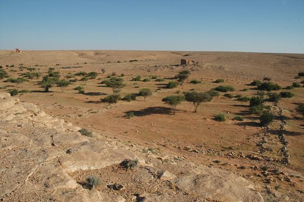 Wadi Buzra, Bz 906-907