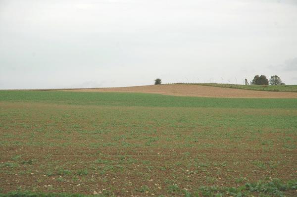 Sabis battlefield, High ground in the southeast