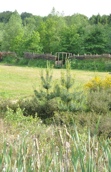 Kalkriese, Reconstruction of the battlefield