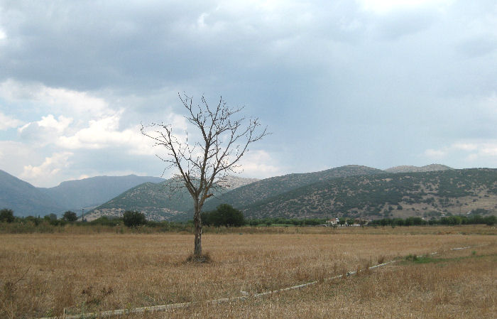 Mantineia, Battlefield