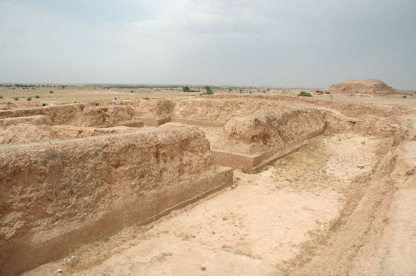 Choga Zanbil, Royal Palace