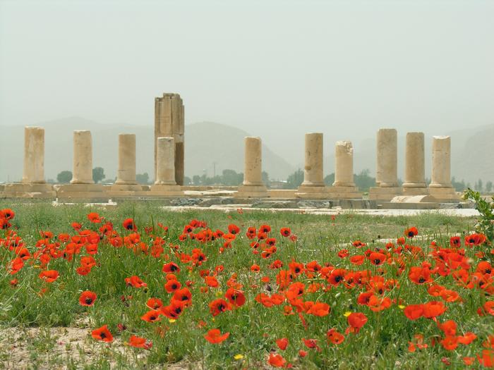 Pasargadae, Palace P with poppies