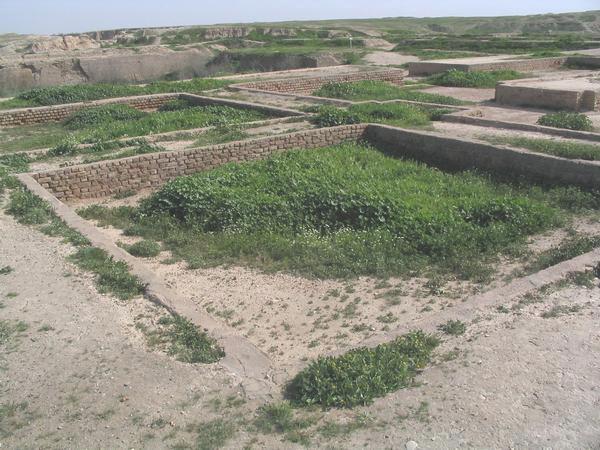 Susa, Palace of Darius, Treasury