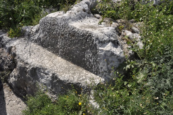 Nahr al-Kalb, 12a Pedestal of a statue (of a dog?)