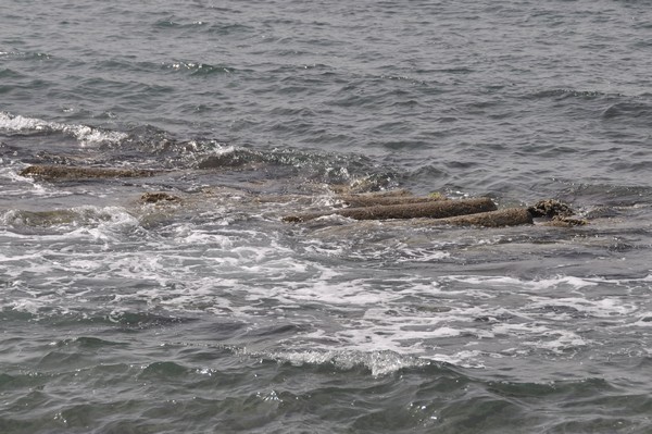 Tyre, City, Egyptian harbor, columns