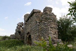 The gymnasium of Magnesia on the Meander