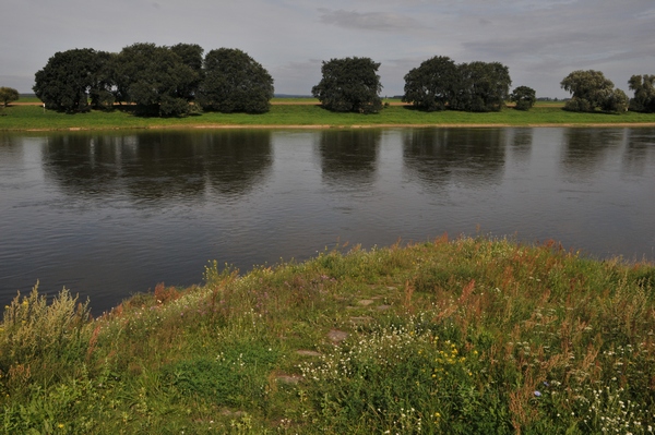 Elbe, at Torgau