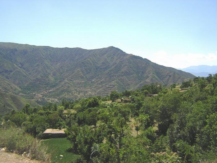 Shangla Pass (5)