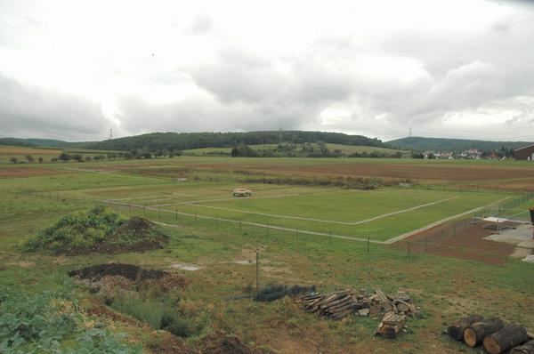 Waldgirmes, Forum, excavation