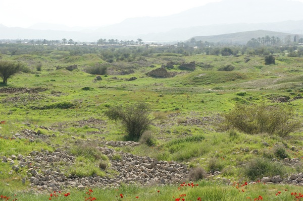 Bishapur, Unexcavated living quarters