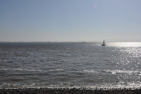 The Western Scheldt near Vlissingen