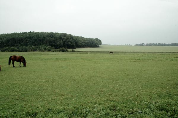 Xanten-Fürstenberg, Today