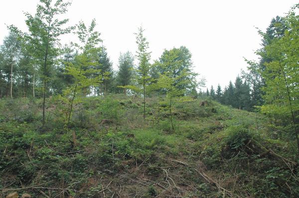 Schwäbisch Gmünd, Freimühle, Remains of a Roman fort