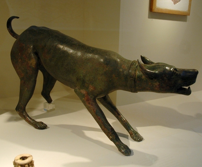 Volubilis, Dog