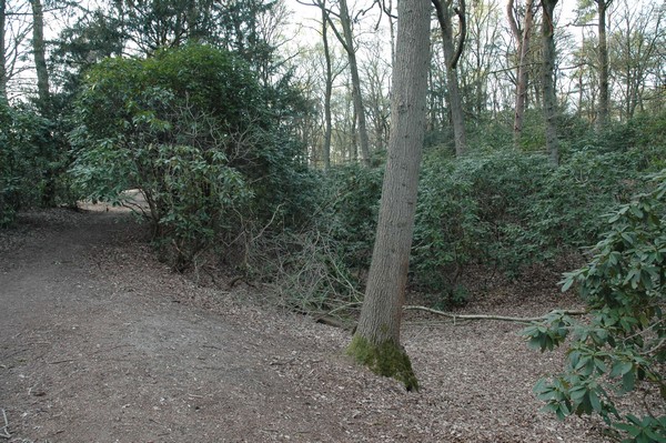 Nijmegen, Aqueduct, Marienbosch (2)