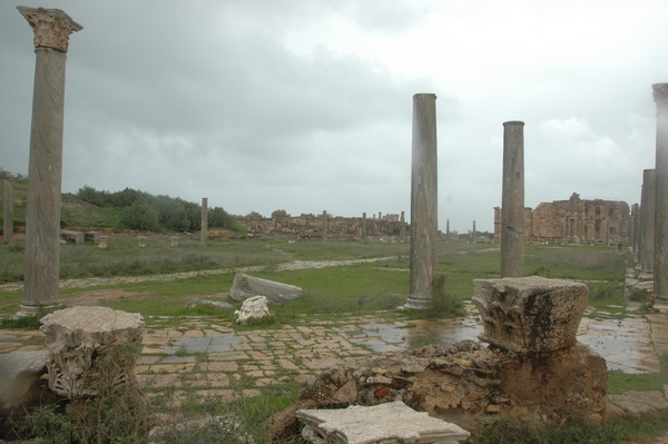 Lepcis Magna, Palaestra (1)