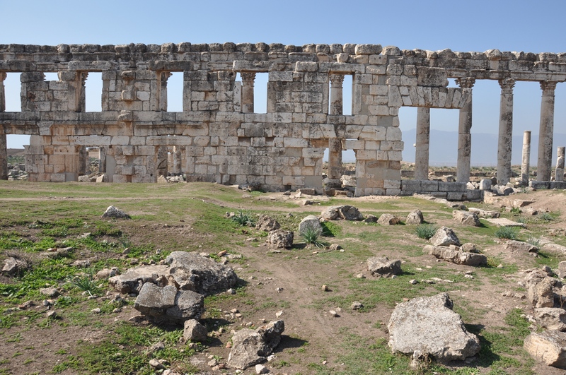 Apamea, Colonnaded Street (7)