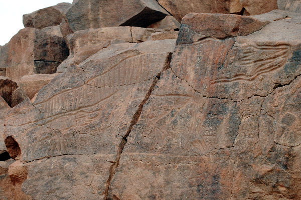 Wadi Mathendous, Crocodile