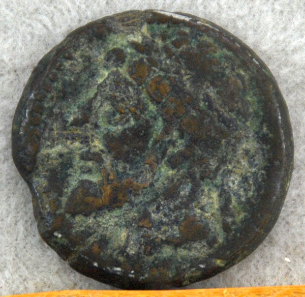 Gulussa, coin