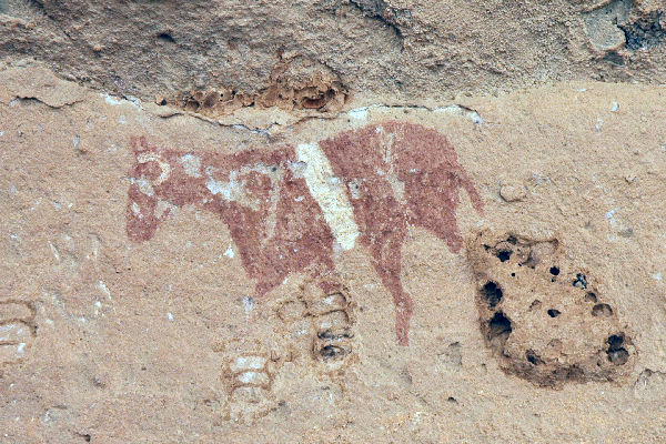 Wadi Imla, Horse