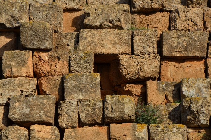 Mausolée royal de Maurétanie, Wall