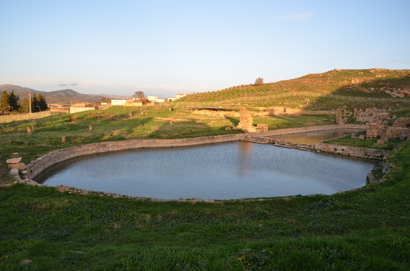 Thubursicum Numidarum, Ain el-Youdi, Pool