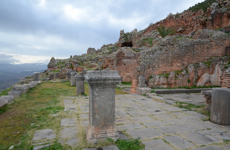 Tiddis, Forum, General view