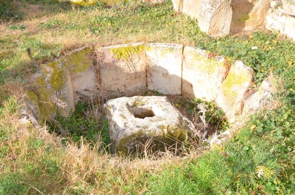 Madauros, House with oil press A, Round basin