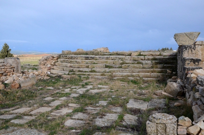 Madauros, Forum, Curia