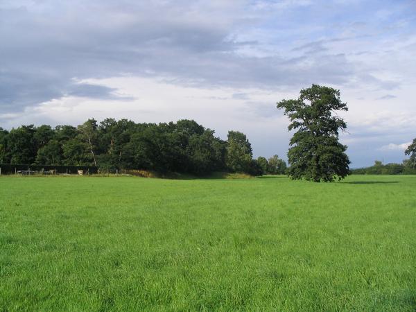 Anreppen, Site of the southeast wall