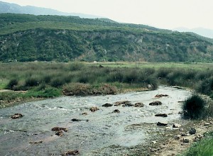 The river Phoenix