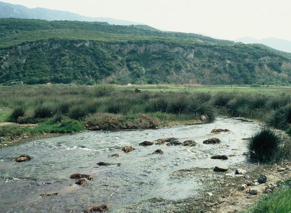 Thermopylae, Phoenix River