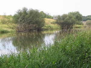 The Lippe near Holsterhausen