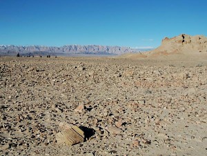 Sherds everywhere